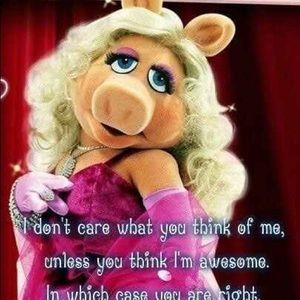 Meet your Posher, Camille